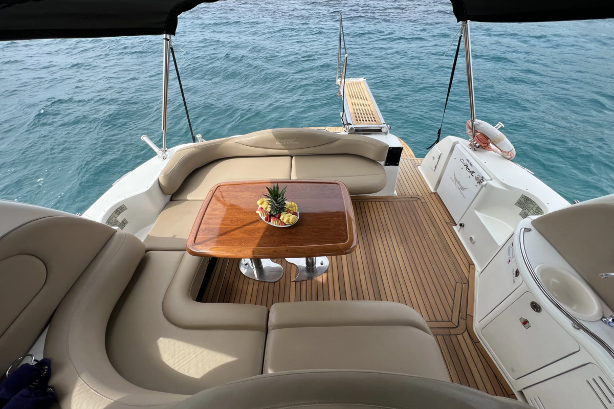 Reality — Sea Ray 455 — gallery image 5